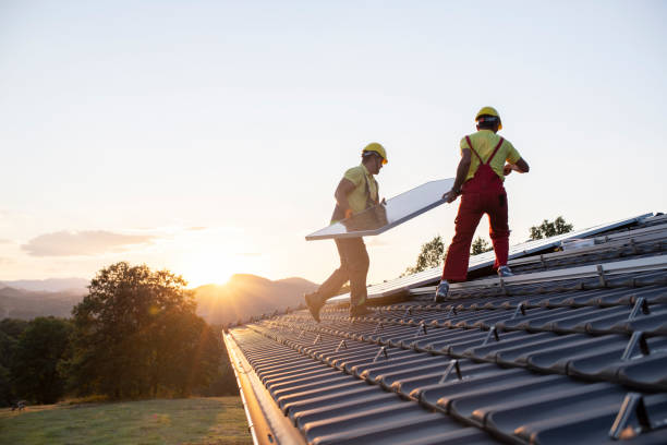 Best Roof Moss and Algae Removal  in Maple Heights, OH